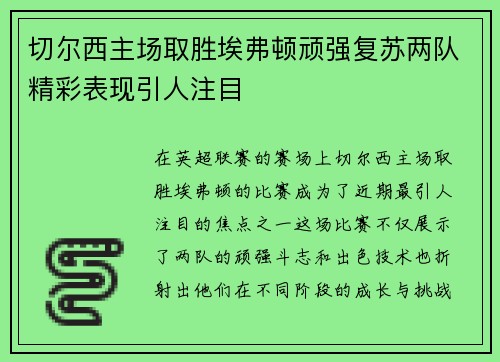 切尔西主场取胜埃弗顿顽强复苏两队精彩表现引人注目